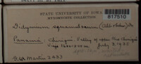 Image Associated With the Occurence
